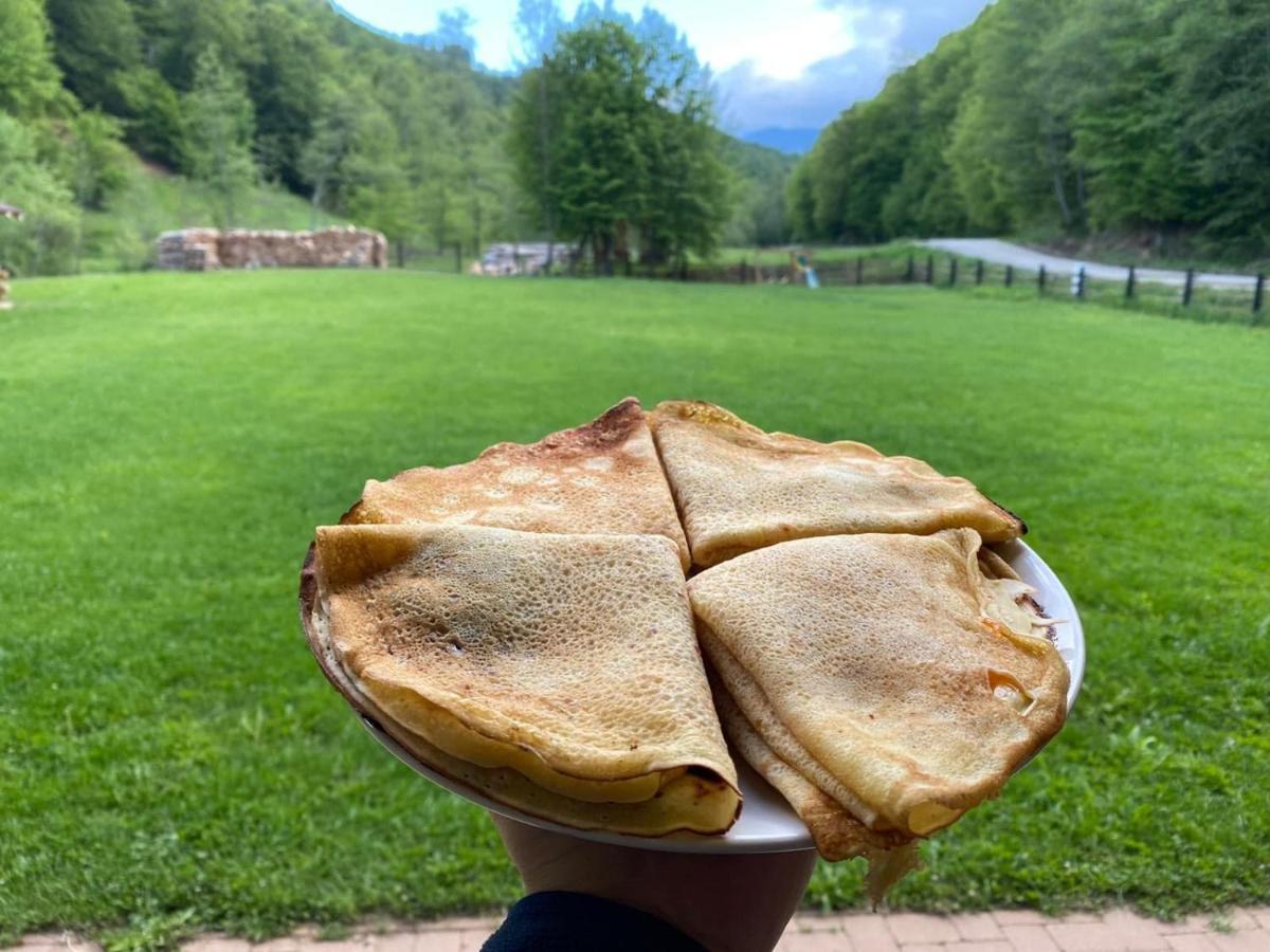 Casa Din Vale Hotel Sacuieu Bagian luar foto