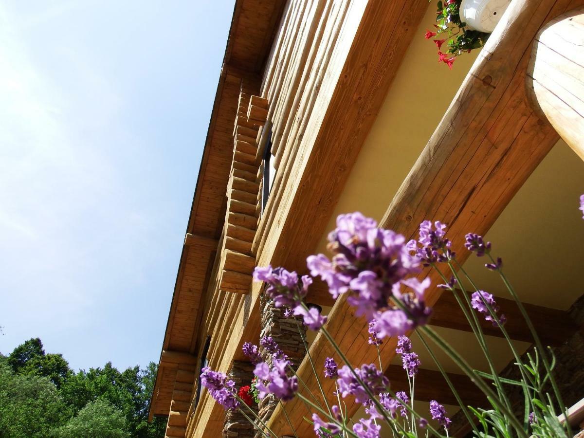 Casa Din Vale Hotel Sacuieu Bagian luar foto