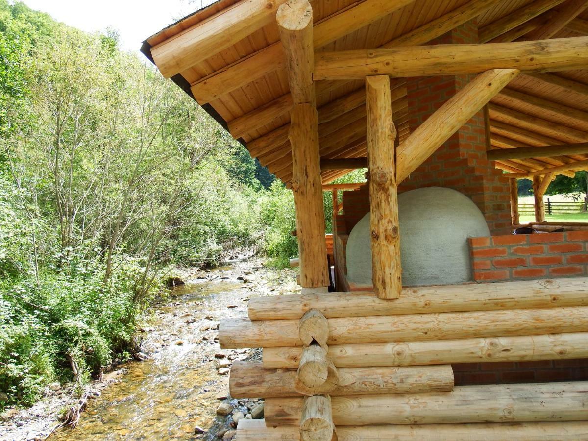 Casa Din Vale Hotel Sacuieu Bagian luar foto