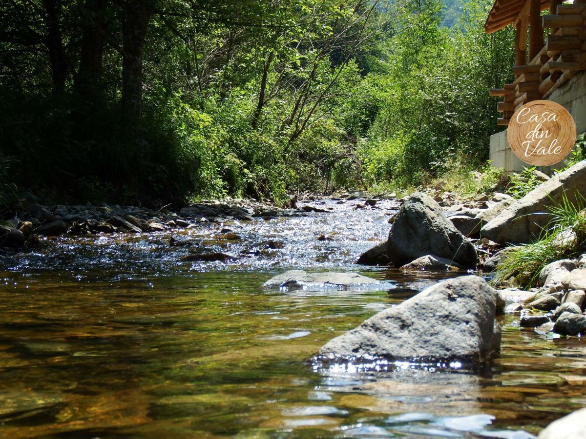 Casa Din Vale Hotel Sacuieu Bagian luar foto